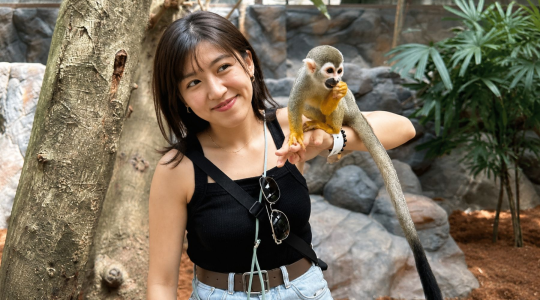 ふれあい動物園「Farm_in_the_City」